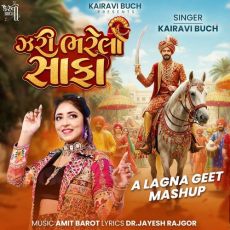 Zari Bharela Safa Zari Bharela Safa